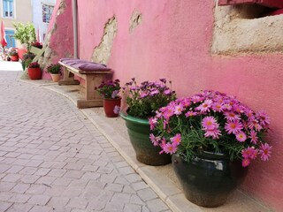 Villa Roquebrun Environnement 27