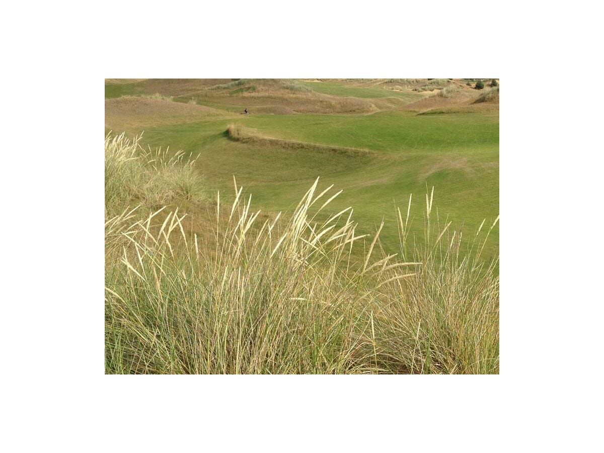 Golfoase im Norden auf der Insel Föhr