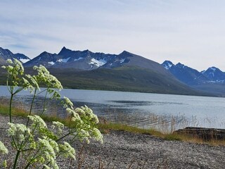 Ferienhaus Nordlenangen  14