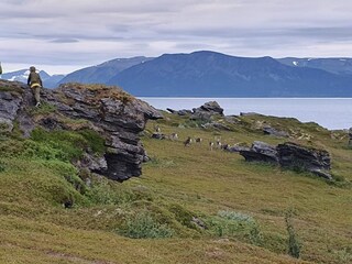 Vakantiehuis Nordlenangen  42