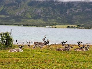 Ferienhaus Nordlenangen  24