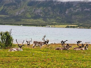 Vakantiehuis Nordlenangen  30