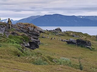 Vakantiehuis Nordlenangen  43