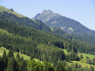Apartment Leogang Umgebung 30
