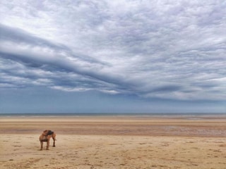 Apartment De Haan Environment 31