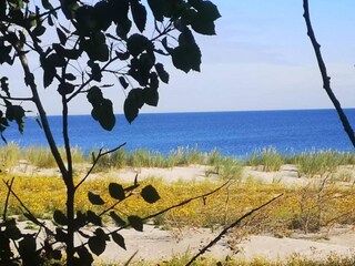 Appartamento Buchholz bei Röbel Ambiente 41