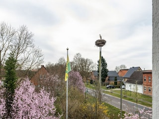 Apartment Buchholz bei Röbel Outdoor Recording 4