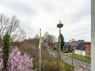 Appartement Buchholz bei Röbel Buitenaudio-opname 7