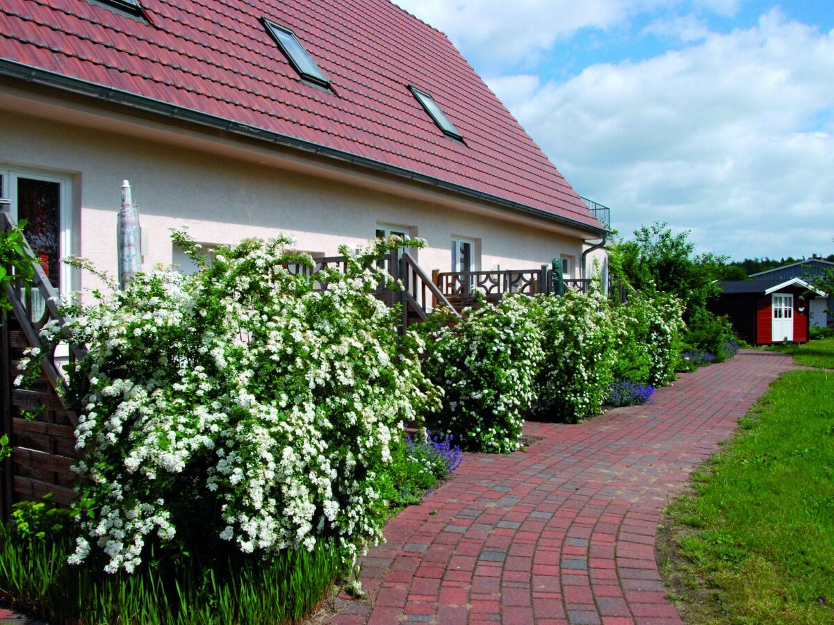 Apartamento Buchholz bei Röbel Grabación al aire libre 1