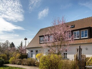 Appartement Buchholz bei Röbel Buitenaudio-opname 7