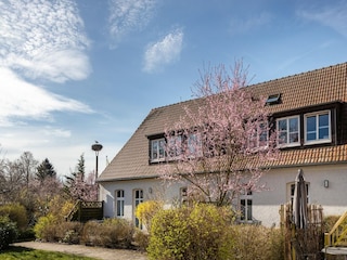 Apartment Buchholz bei Röbel Outdoor Recording 7
