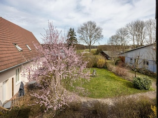 Apartment Buchholz bei Röbel Outdoor Recording 4