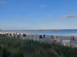 Apartment Buchholz bei Röbel Umgebung 44