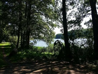 Casa per le vacanze Buchholz bei Röbel Ambiente 38