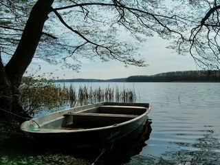 Casa per le vacanze Buchholz bei Röbel Ambiente 45