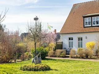 Ferienhaus Buchholz bei Röbel Außenaufnahme 7