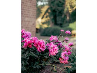 Holiday apartment Heimbach/Eifel Outdoor Recording 5