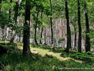 Holiday apartment Heimbach/Eifel Environment 38