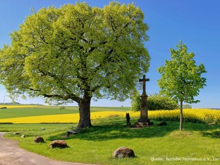 Holiday apartment Heimbach/Eifel Environment 33