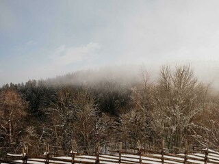 landschaft-zaun-seiser