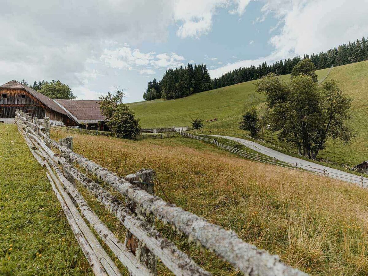 bauernhof-sommer-seiser