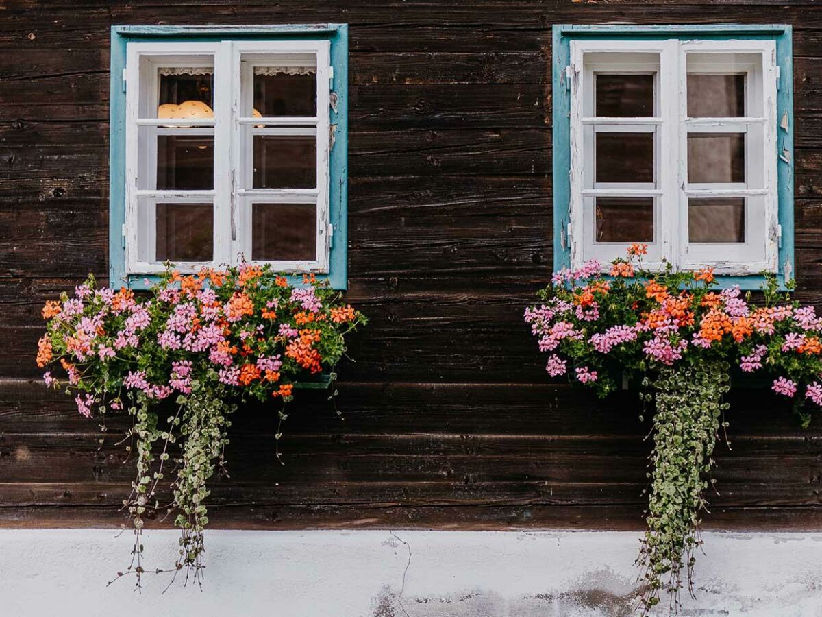 keusche-fenster-seiser