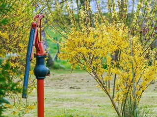 Ferienhaus Nykøbing Sjælland Außenaufnahme 4