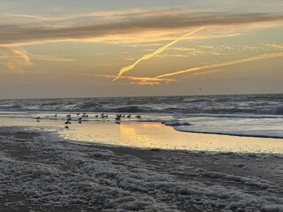 Holiday house Henne Strand  30