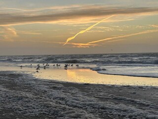 Vakantiehuis Henne Strand  36