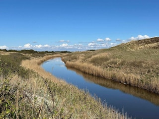 Ferienhaus Henne Strand  39