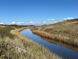 Vakantiehuis Henne Strand  39
