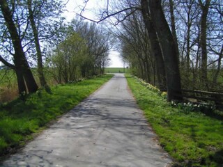 Hofauffahrt im Frühling