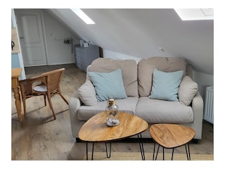 Ferienwohnung Pilsum Außenaufnahme 5
