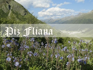 Ortsansicht100px_mit Logo