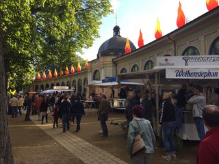 Holiday apartment Bad Harzburg Environment 29