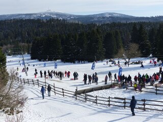 Holiday apartment Bad Harzburg Environment 36
