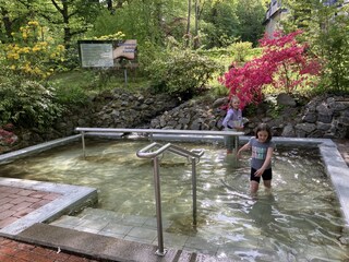 Kneippbecken im Harzburger Kurpark