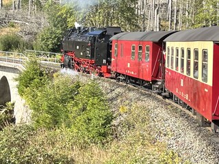Holiday apartment Bad Harzburg Outdoor Recording 7