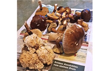 ... ein tolles Pilzrevier