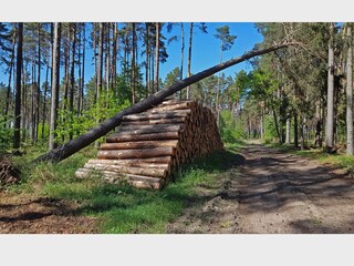 Wandern rund um Priepert