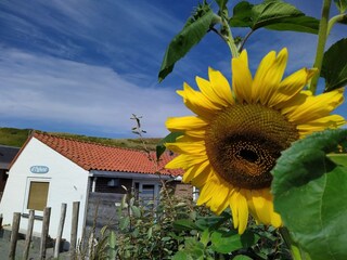 Casa per le vacanze Callantsoog Registrazione all'aperto 3