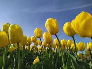 Casa per le vacanze Callantsoog Ambiente 16