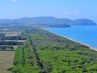 Type de propriété : Ferme Suvereto Environnement 28