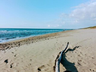 Farmhouse Suvereto Environment 33