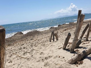 Bauernhof Suvereto Umgebung 38