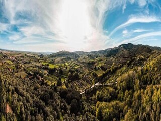 Fattoria Suvereto Ambiente 38