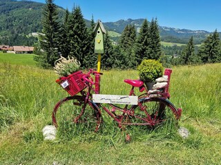 Holiday apartment Obermaiselstein Environment 35