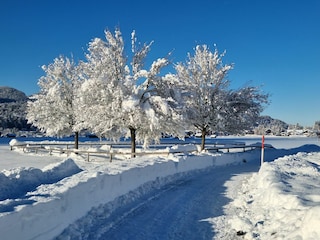 Holiday apartment Obermaiselstein Environment 21