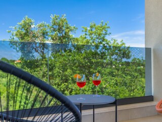 Villa Barban Registrazione all'aperto 10