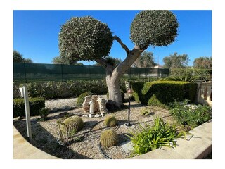 Casa per le vacanze San Vito dei Normanni Registrazione all'aperto 5